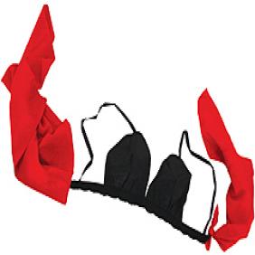 (image for) 20th Century Brassiere